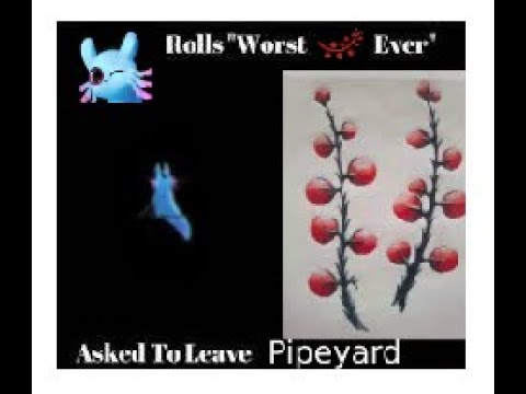 Rivulets Worst Cherrybomb Ever