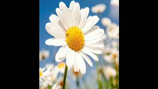 Download lagu Lagu Nonstop Pop Indonesia 80'an, Side B mp3