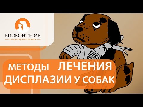 Трентал в лечении остеохондроза Народные лекарства от суставов коленных суставов