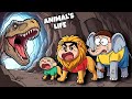 Shinchan Living Animals Life Age 1 To Age 100