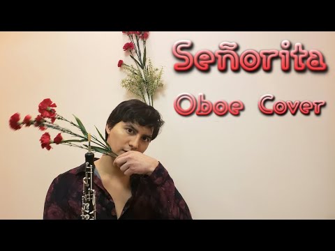 Señorita | Oboe Cover | Shawn Mendes, Camila Cabello