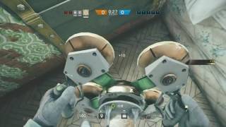 レインボーシックスシージ生放送