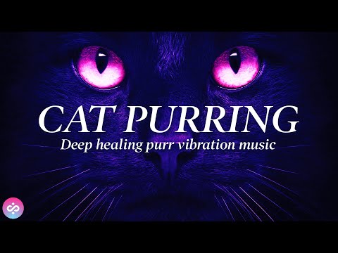 CAT PURRING HEALING POWER VIBRATIONS ✧120hz ✧ RELIEVE ANXIETY, STRESS & SLEEP ✧ FOR HUMANS & CATS 4K
