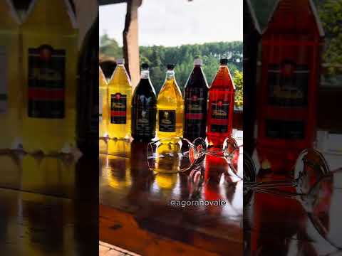 Vinícola Parisoto: um pedacinho da Itália em Anta Gorda no Vale do Taquari