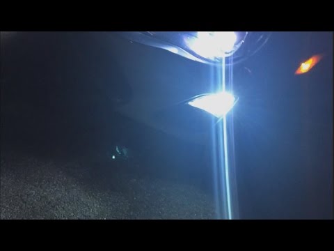 Diode Dynamics switch back LED turn signal for Scion FRS