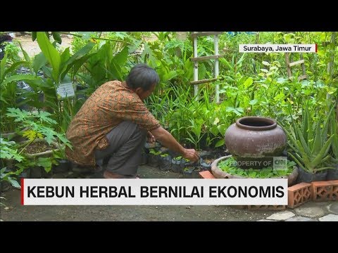 , title : 'Menikmati Kebun Herbal Bernilai Ekonomis'