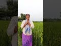 Raithu Poratam