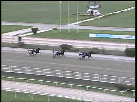 Trotto 30/11/2014 - 1° prova di qualifica