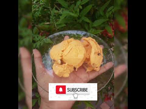 Mango 🥭 Icecream 🍨