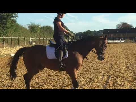 Chris prelim7 120922