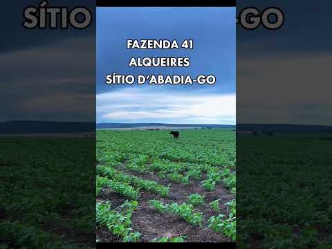 🚨(62)9-8305-7960- FAZENDA 41 ALQUEIRES, SÍTIO D’ABADIA-GOIÁS.