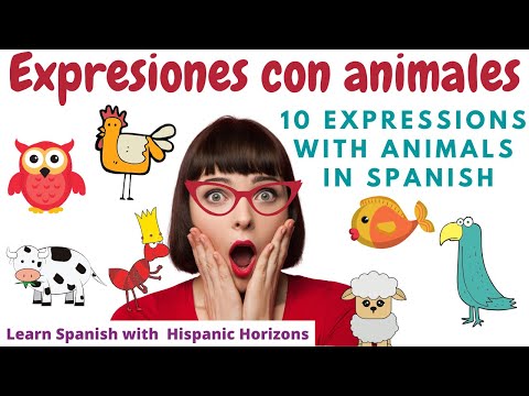 Learn Spanish: 10 expresiones con animales | Modismos en español | Spanish idioms