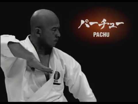 Ryuei-ryu - Sakumoto-sensei - Pachu