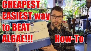 Easy Co2 Generator Setup Tutorial #fzone 