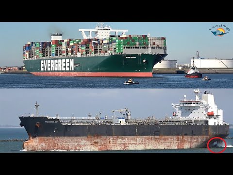 400m (1312ft) long EVER GIVEN arrives at ROTTERDAM Port - Shipspotting August 2020