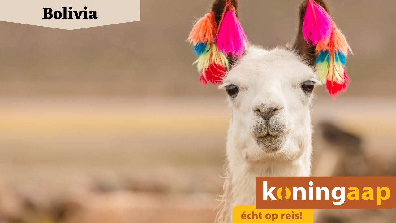 Online presentatie: Bolivia