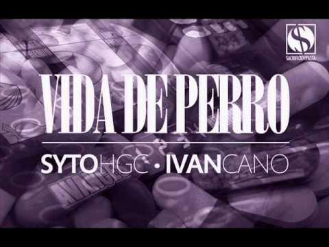 SYTO HGC IVANCANO - VIDA DE PERRO