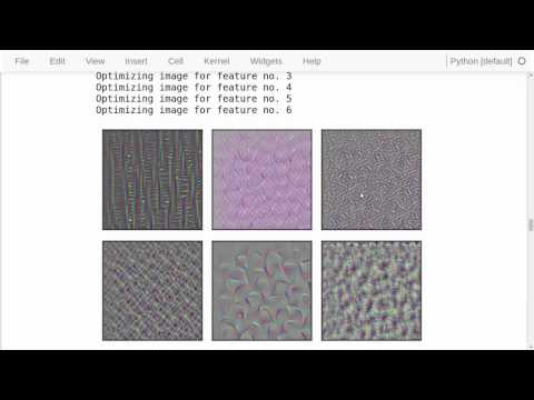 TensorFlow Tutorial #13 Visual Analysis
