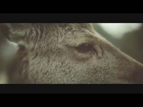 Sango - Here With Me (YxvngBvss Remix)