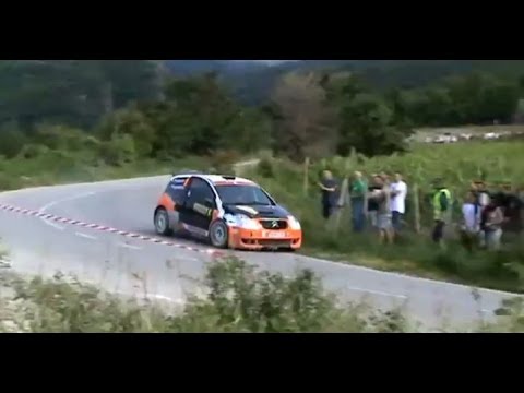 Rally Hebros 2013 - Bobi Grigorov on SS7 Dedevo
