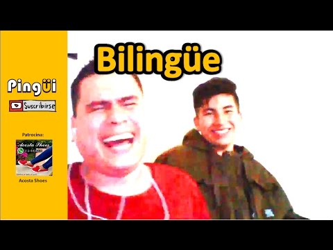 Pingüi ¿En qué idioma lloran los bebés? -Pingüi, Bani y Dani.