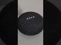 Google Home vs Alexa Make a Mongoose So Google Home vs Alexa Make a Mongoose So