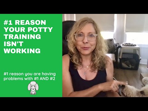 why your potty training isn't working