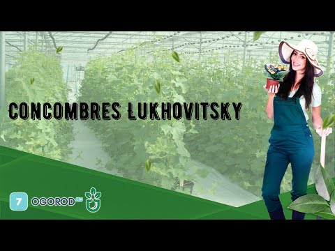 , title : 'Concombres Lukhovitsky'