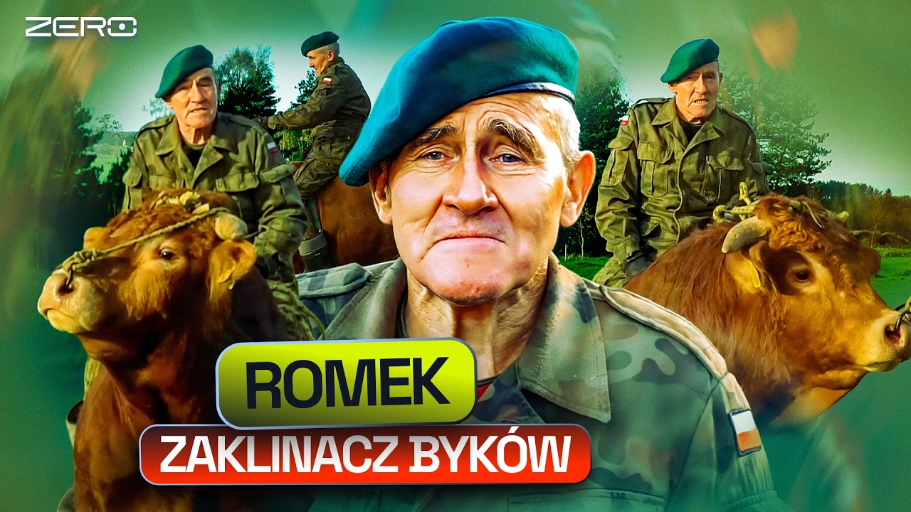 BYKI, KOMORNIK I MILION DŁUGU. ROMEK ZAKLINACZ BYKÓW - HISTORIA