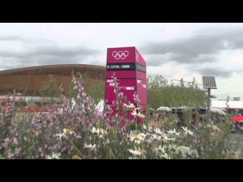 A Guided Tour Through Olympic Park