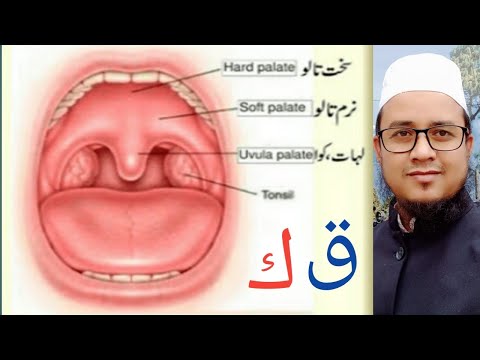 Correct articulation points of Arabic letters ق and ك Learn makhraj e huroof