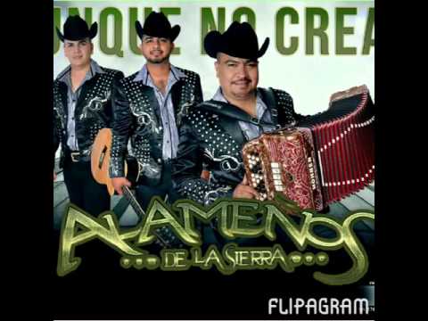El Grande De Culiacan *El Mz* - Los Alameños De La Sierra (Corridos Nuevos 2016)