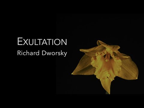 Richard Dworsky - Exultation (Official Music Video)