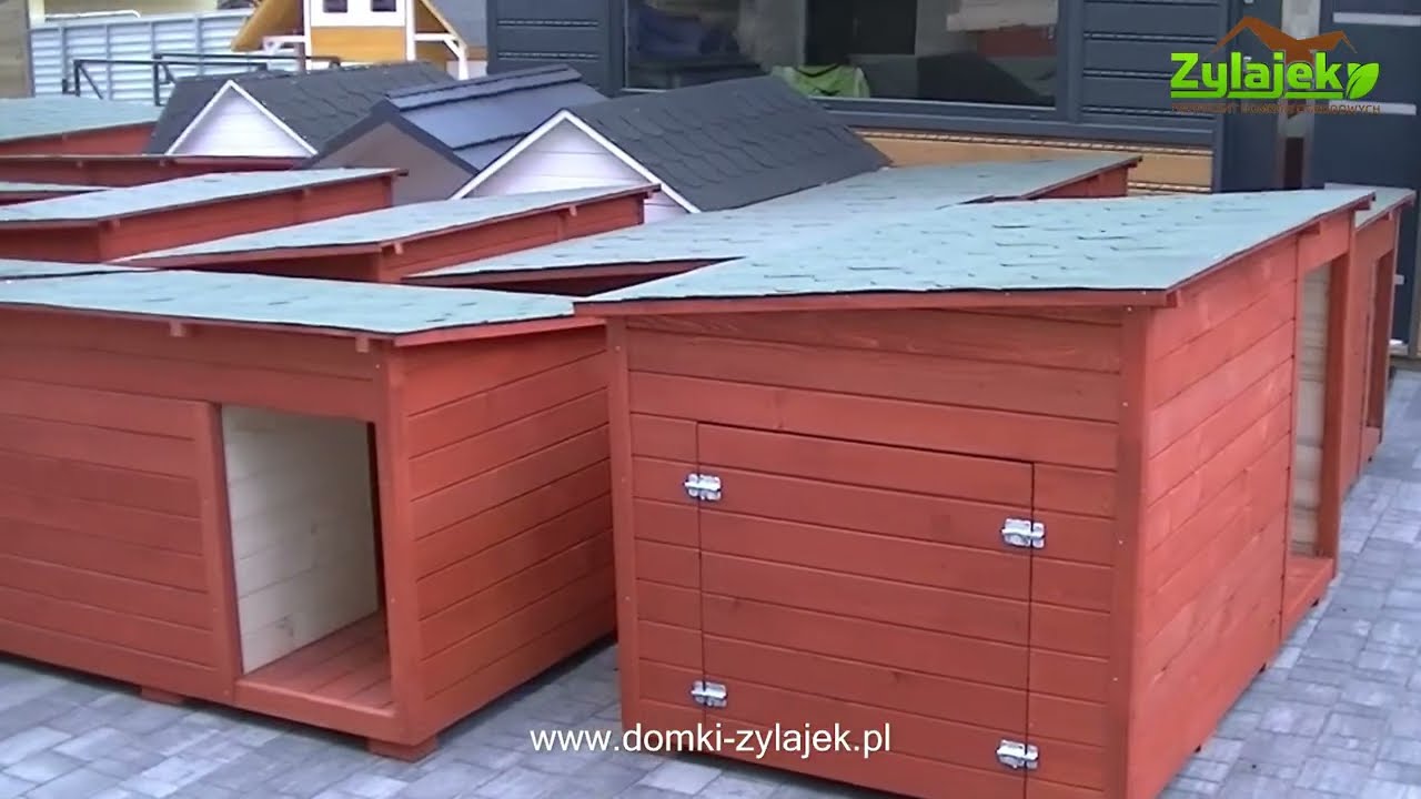 Budy dla psa  producent Zylajek