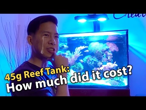 Cost of Setting Up a 45g Reef Aquarium (and load it up with corals)