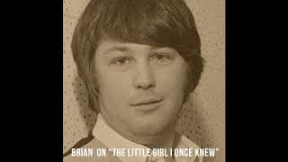 Brian Wilson on &quot;The Little Girl I Once Knew&quot;