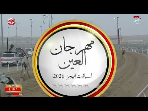 ش 3 (نجاح) لـ بطي مسلم الزفنه بن مسلم العامري 4:37:45 ، مهرجان العين 2026/08/05 لقايا الروضة