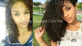 How to Recover Curly Hair From Heat/Color Damage | My Hair Journey | Sayria Jade