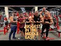 5 BIGGEST BODYBUILDERS IN MIDDLE EAST TRAIN ARMS!