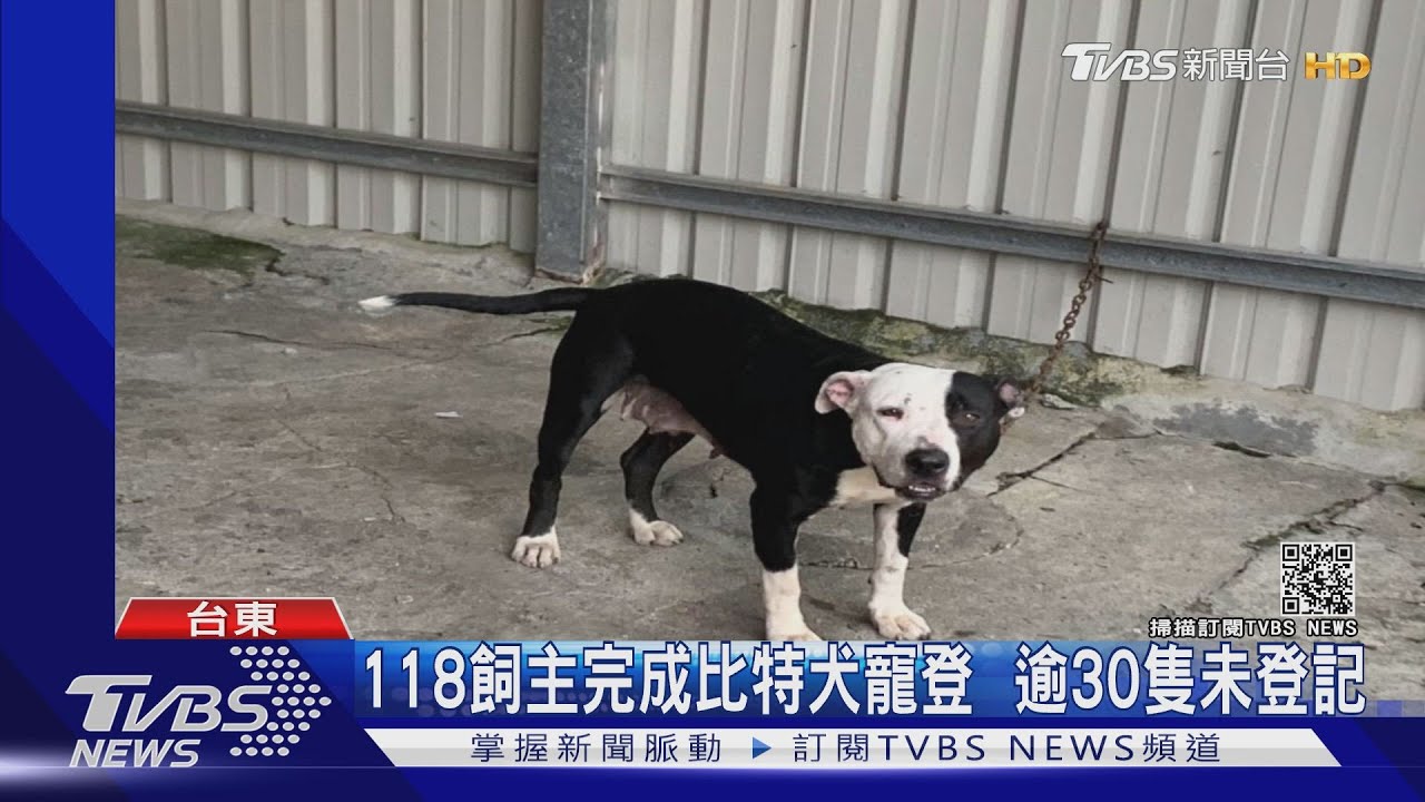 「比特犬」咬傷退役搜救犬　飼主遭開罰3萬