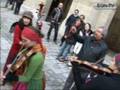 Aasgeiger In Italien