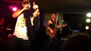 Chocolate Starfish - Mountain