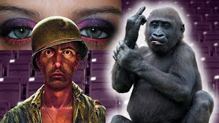 OLHAR DE MIL ROULAS ESTOURA A BOLHA / MAGINITSKY NO R4BO, VAI CURINTIA E HIBRISTOFILIA