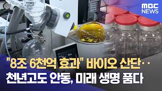 안동 바이오 국가산단 '예타 통과'‥ 8.6조 경제 효과 (2026.04.14/뉴스데스크/안동MBC)