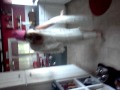 Stripping Princess! xD 