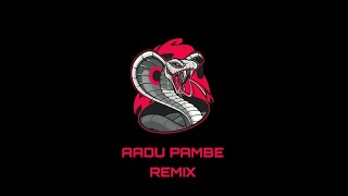 Aadu Pambe  Psy Trance  Remix - Ebin Augustin
