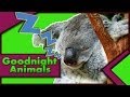 BEDTIME STORIES PRESENTS: "Goodnight, Animals"  Read by Bestselling Author, KIDS LOVE IT!! :D - BedtimeStories BEDTIME STORIES PRESENTS: "Goodnight, Animals"  Read by Bestselling Author, KIDS LOVE IT!! :D