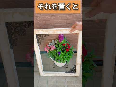 バケツガーデンを作る：素晴らしい、有益で安価なアイデア！どうやって対処すればいいのでしょうか？  庭園