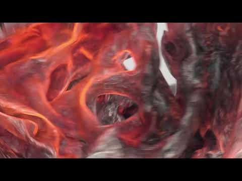 Echonomist Ft. Phunkadelica - Death Goes To Disco (Original Mix)