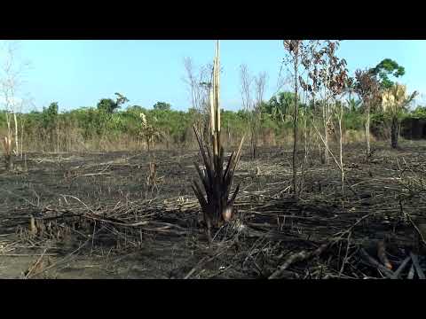 First Time Homeowners’ Dream New Land Subdivision Opens in St. Matthew’s Village PT 2